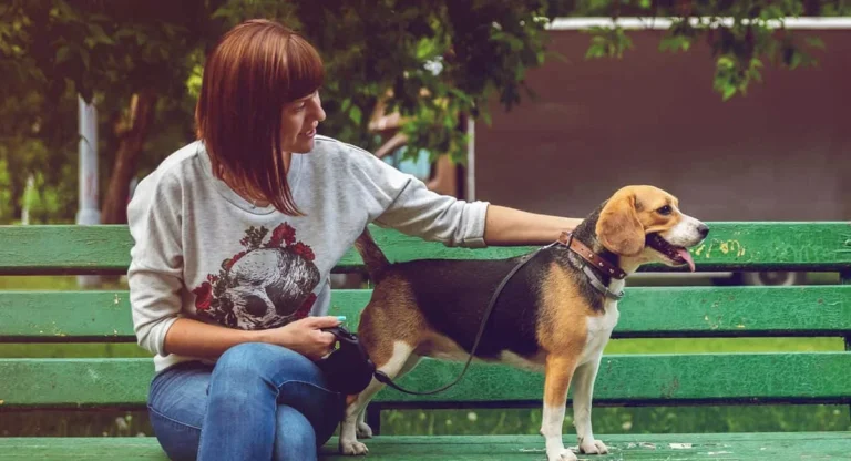 Beautiful and Functional DIY Pet Gates for Room Separation